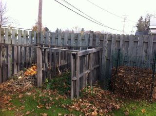 Compost Pile