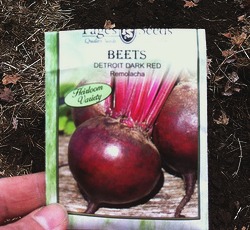 Heirloom beet package