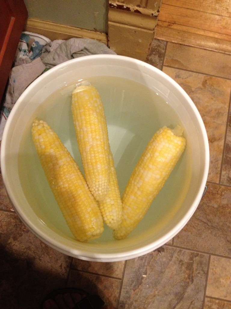 freezing corn on the cob blanching 2