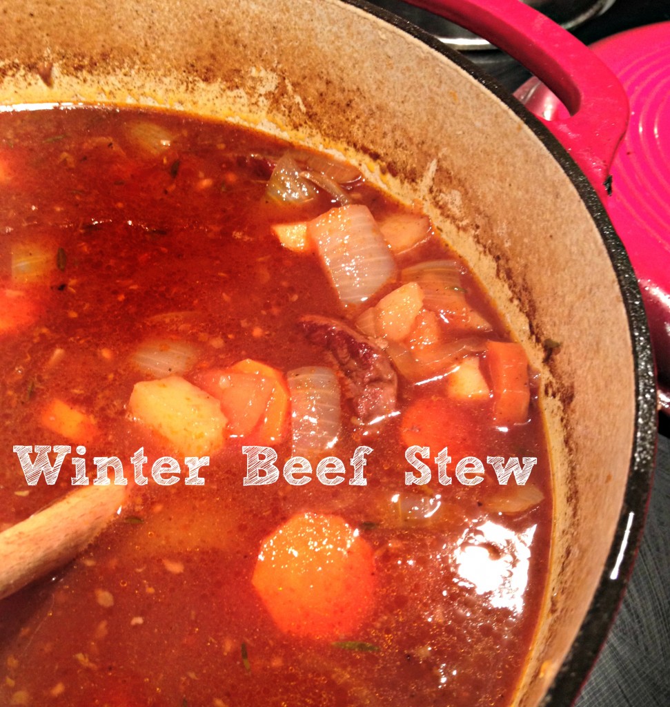 Winter Beef STew