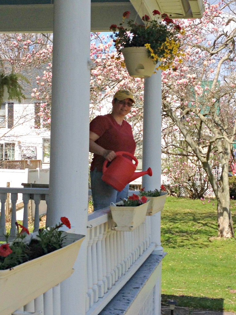 Front Porch Flowerboxes from Walmart