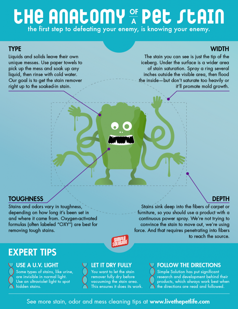 Stain-Odor-Infographic-Updated
