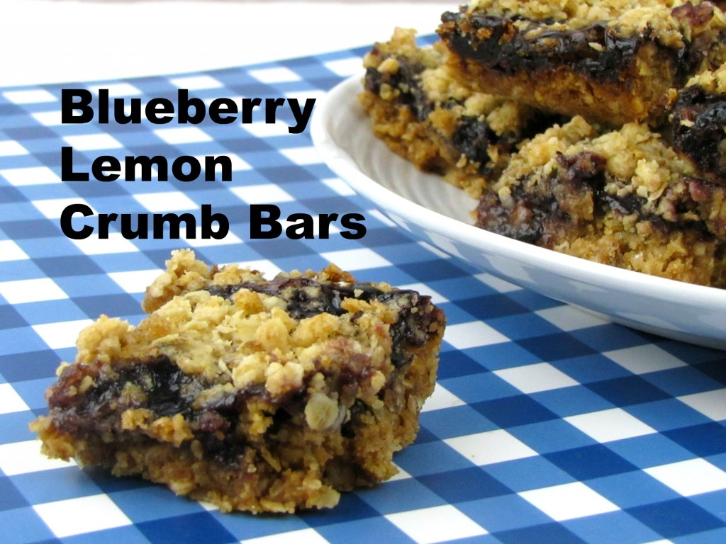 Delicious Blueberry Lemon Crumb Bars