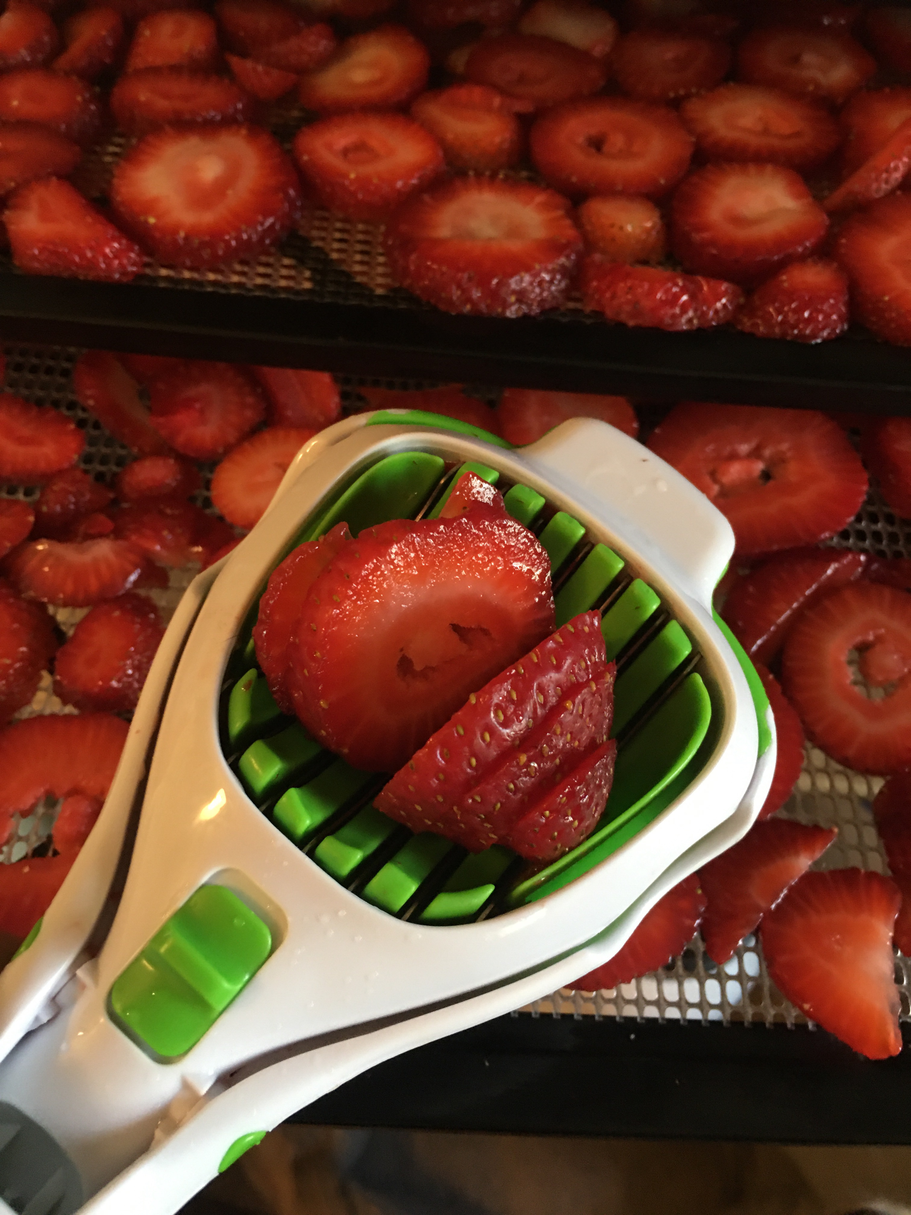 A perfectly sliced strawberry using an egg slicer