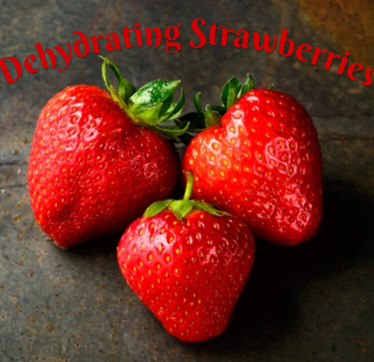 Dehydrating Strawberries